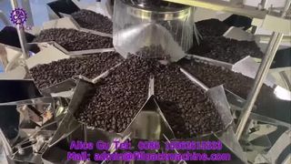 Máquina llenadora y selladora de granos de café con alimentación de bolsas rotativa 2275 J69