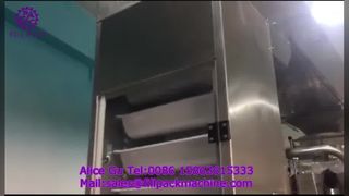 2284 J122 Máquina envasadora de dumplings congelados con bobinado de película vertical, fabricación de bolsas y sellado posterior