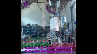 2220 J118 Máquina taponadora automática de 6 cabezales Crown Cap