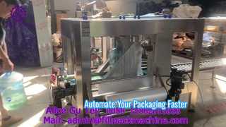 2338 P44 Uzbekistan Automatic Bagging Machine