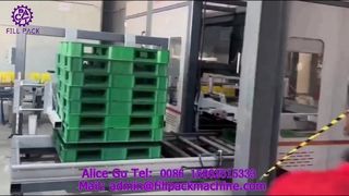 Línea de producción de paletizado de pórtico para embalaje de cartón 2307 P42