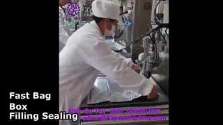 Máquina llenadora y selladora de bolsas en cajas semiautomática de un solo cabezal 2108 L14