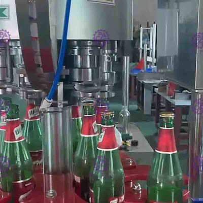 Limpiabotellas de cristal rotatorio completamente automático 2000BPH para la máquina de rellenar de la cerveza