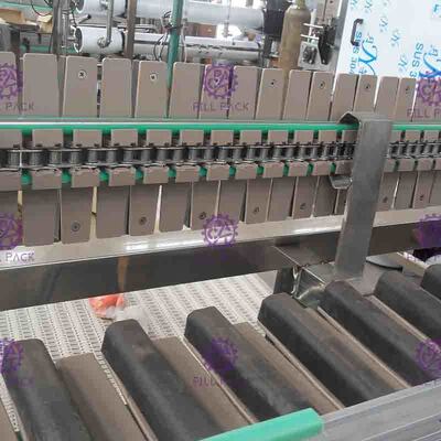 Esterilizador reverso de la botella del acero inoxidable 304 que alisa el transportador de rodillo para la línea del relleno en caliente