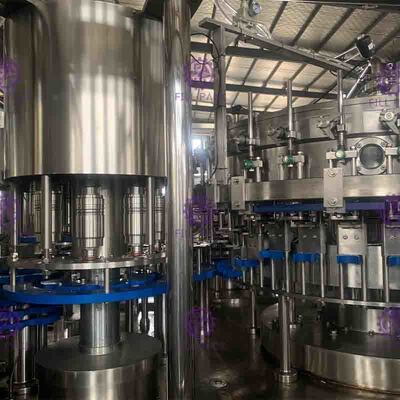 15000BPH 3 en 1 máquina de rellenar de consumición pura del agua de botella del ANIMAL DOMÉSTICO de Monoblock produciendo el equipo 304 de acero inoxidables